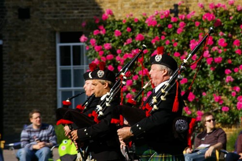 IMGP4446.JPG
