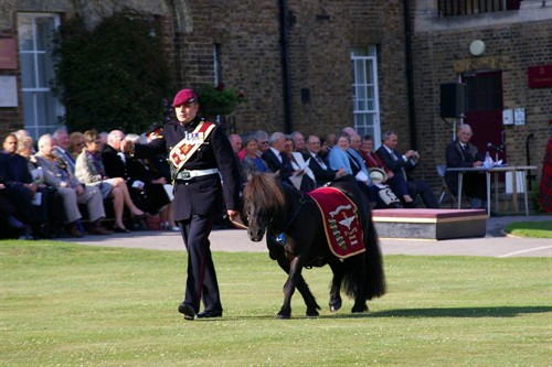 IMGP4477.JPG