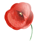 Poppy _red _42