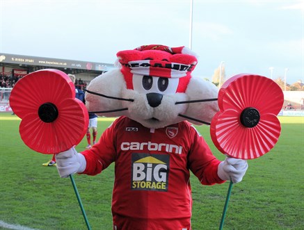 Christie The Cat With Giant Poppies 2