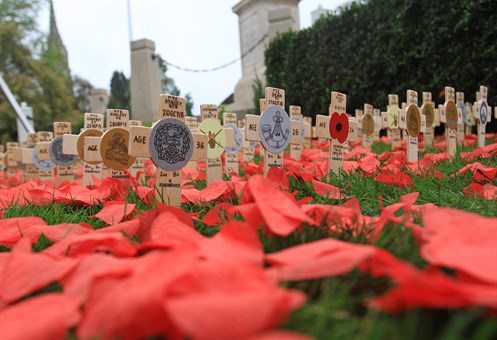 Remebrance Crosses