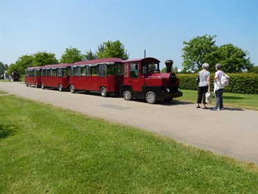 Arboretum Train
