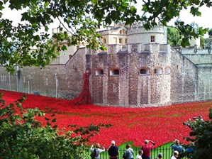 Poppies At The Tower Of London 2014