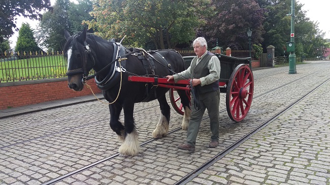 Beamish (8)