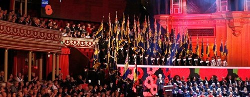 Festival _of _remembrance _banner (1)