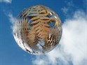 Fern Globe