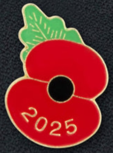 2025 Pin Badge